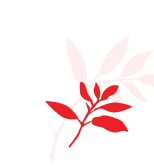 Leaf Decoration